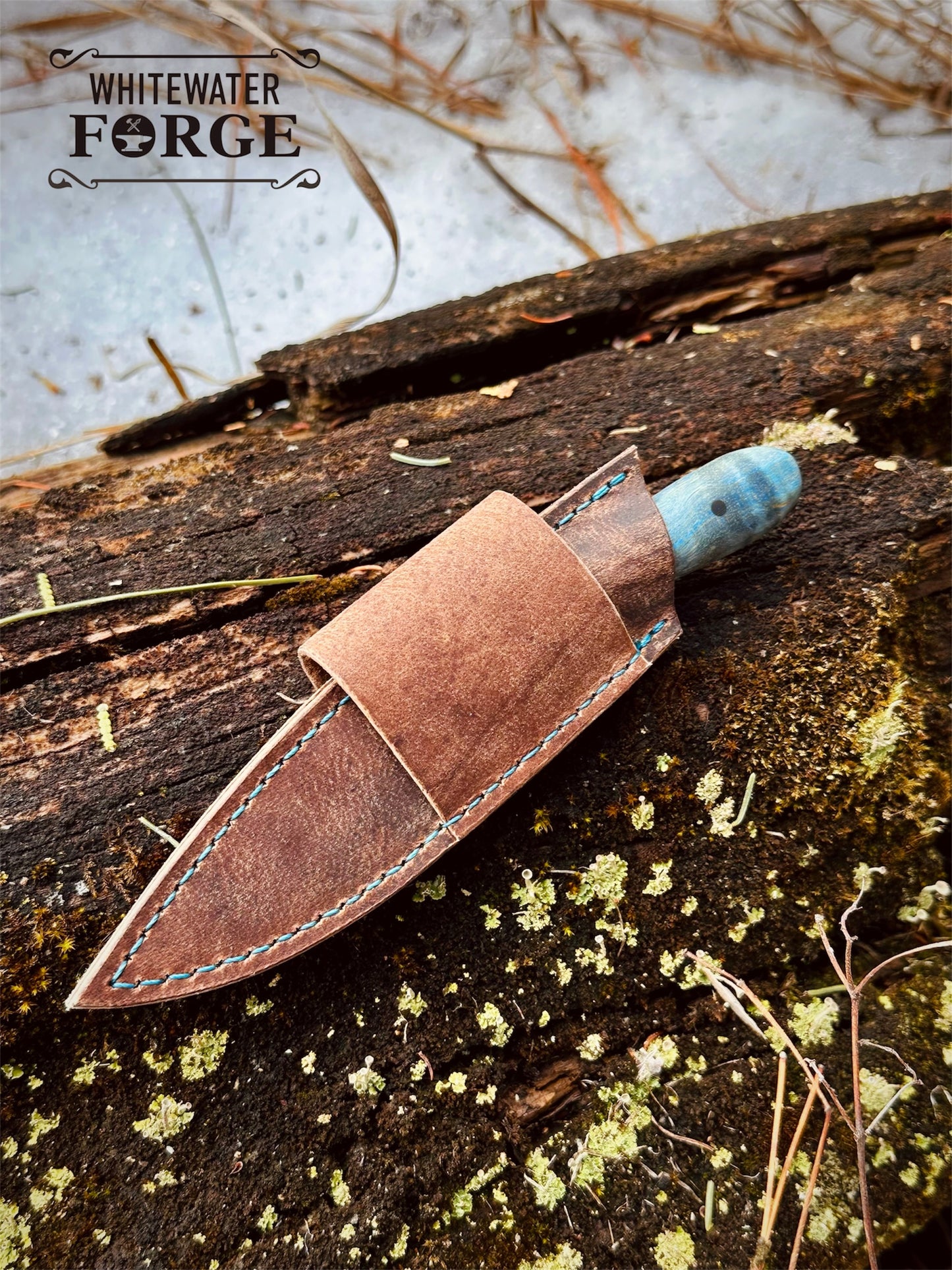 EDC Blue Maple Scout Knife