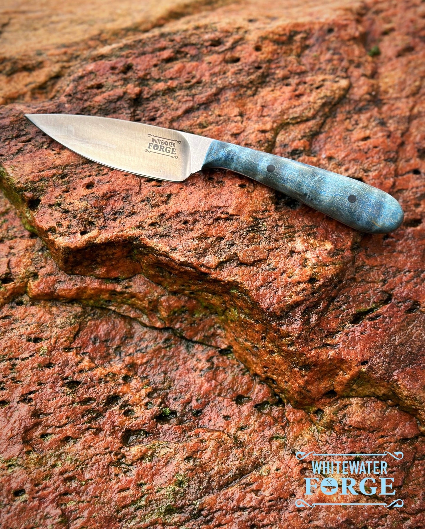 Hollow Ground EDC Hunting Knife