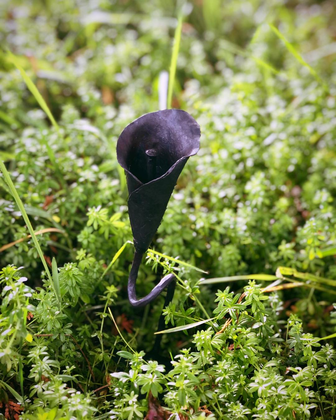 Forged Calla Lily