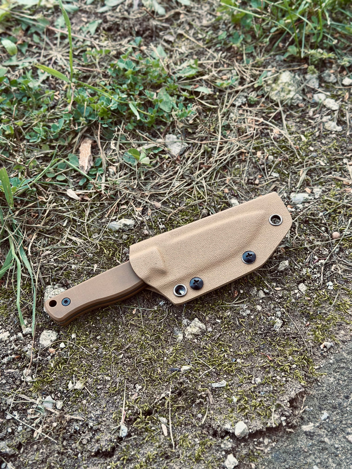 Coyote Brown Scout Knife