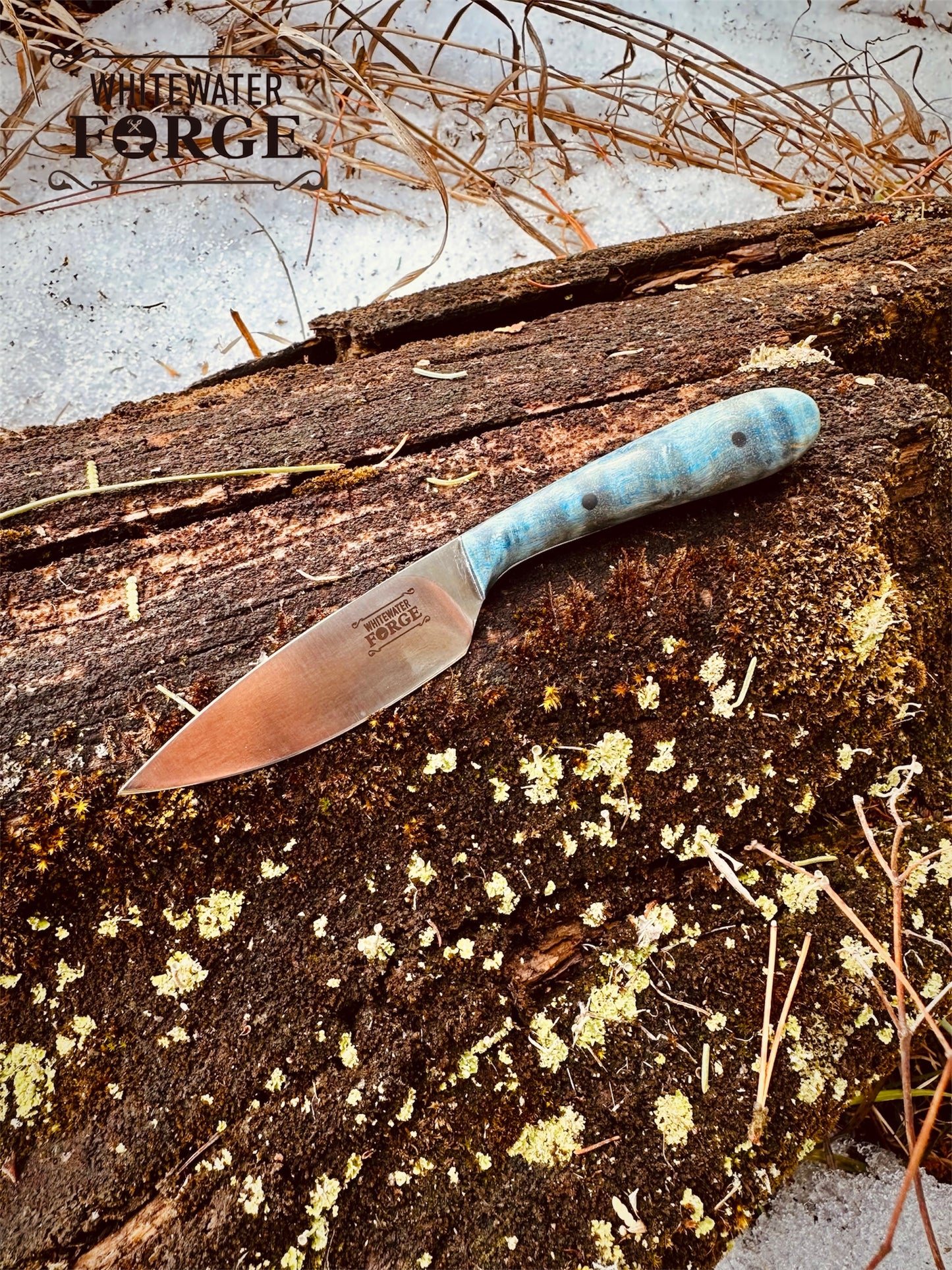 EDC Blue Maple Scout Knife