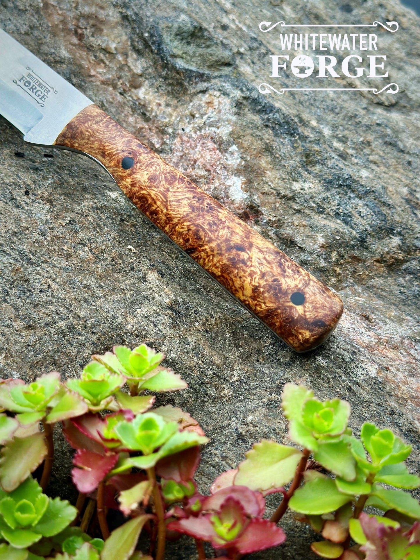 BBQ Carving Knife