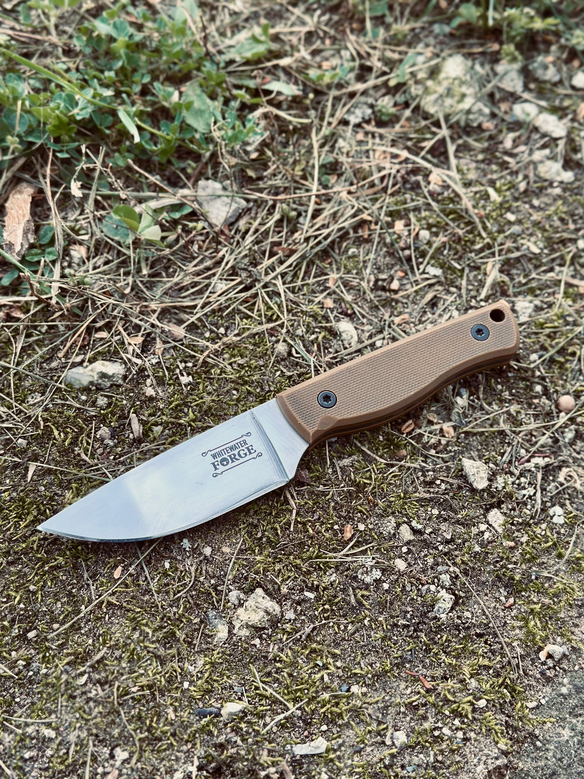 Coyote Brown Scout Knife