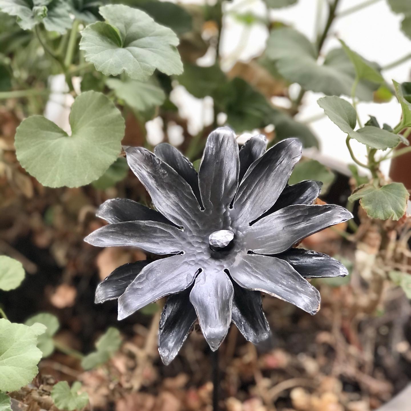 Forged Lily Sculpture